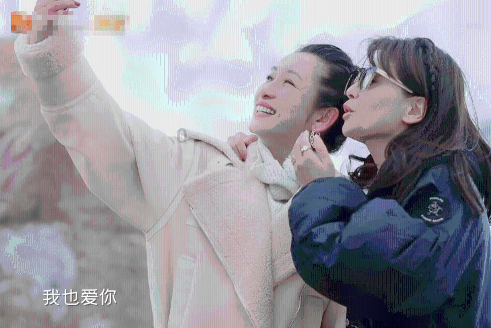 拼多多直播间公开售卖产地肉锥|志愿者来信反映|肉锥清网行动